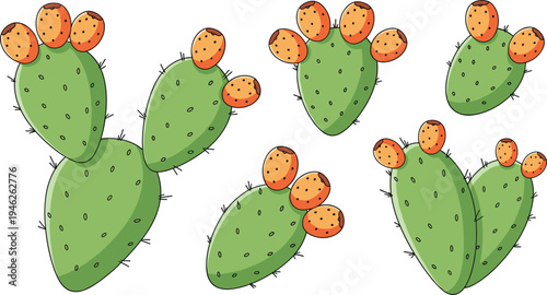 Prickly pear cactus with orange fruits collection, hand drawn desert succulent plants botanical illustration set