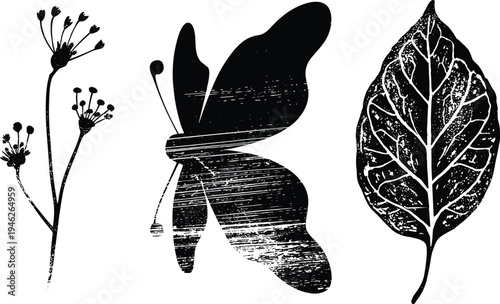 PrintBlack silhouette flowering plant, butterfly, leaf texture, distressed overlay, nature illustration, botanical design, eco art, decorative pattern, organic background, vector graphic