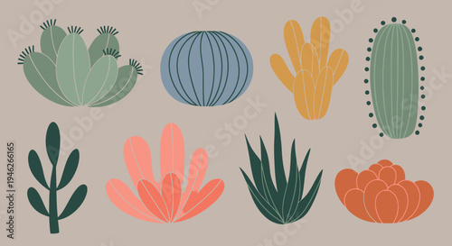 Vibrant Collection of Diverse Succulents and Cacti Plants.