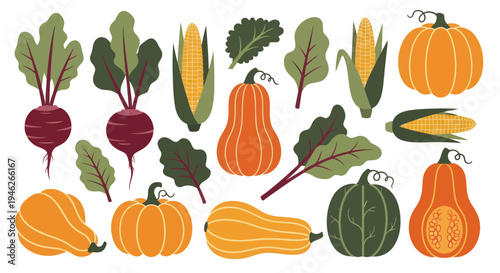 Vibrant Autumn Harvest Collection of Fresh Vegetables and Gourds.