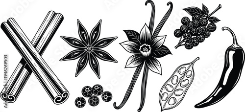 Hand drawn black and white vector illustration set of aromatic spices including cinnamon sticks star anise vanilla pods chili pepper and peppercorns for cooking.