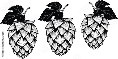 Hand drawn black and white vector illustration set of hop cones with leaves isolated on white background for beer brewery and craft brewing label.