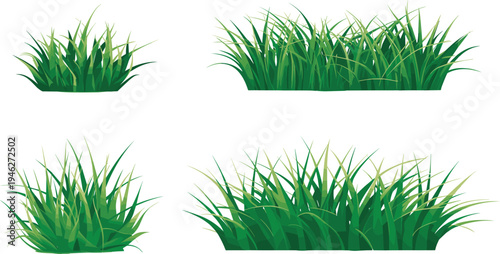 Lush green grass vector collection featuring different grass patches, fresh natural foliage elements isolated on white background for landscaping, ecology, gardening and nature design projects