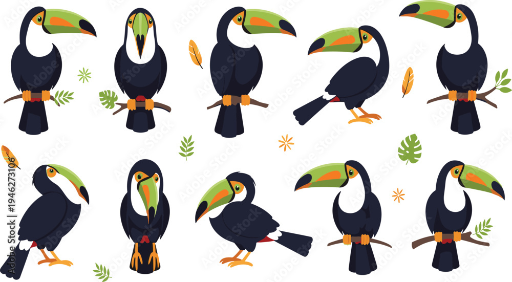 Naklejka premium Toucan Bird Character Set with Colorful Beaks, Tropical Leaves and Perching Poses Cartoon Wildlife Vector Illustration Collection for Jungle and Nature Designs.