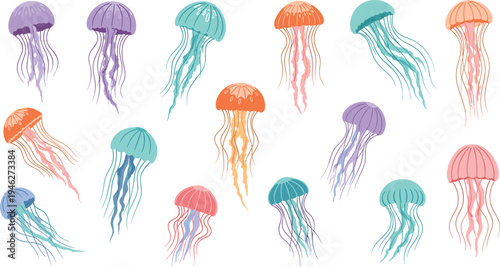 Colorful jellyfish character set with various species and long tentacles for marine biology and underwater sea life vector illustration.