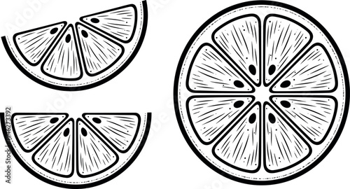 Fresh Citrus Lemon and Orange Slices Hand Drawn Woodcut Style Vector Illustration Set Including Round Cross Section and Wedges Isolated on White Background
