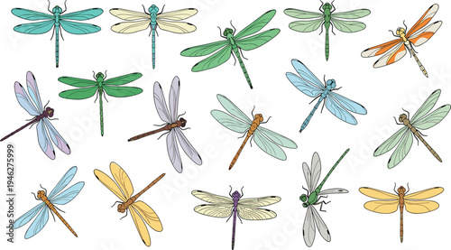 Dragonfly Insect Character Set with Different Wing Colors and Flying Poses Cartoon Bug Wildlife Vector Illustration Collection for Nature and Garden Designs.