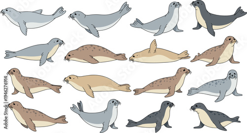 Seal Marine Animal Character Set with Swimming, Sitting and Resting Poses Cartoon Ocean Wildlife Vector Illustration Collection for Coastal and Nature Designs.