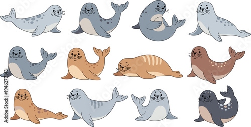 Cute Seal and Sea Lion Character Set with Different Swimming and Resting Poses Cartoon Marine Animal Vector Illustration Collection for Ocean and Kids Designs.