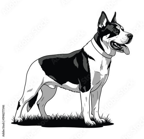 Vector of a standing dog with a muscular build and alert expression