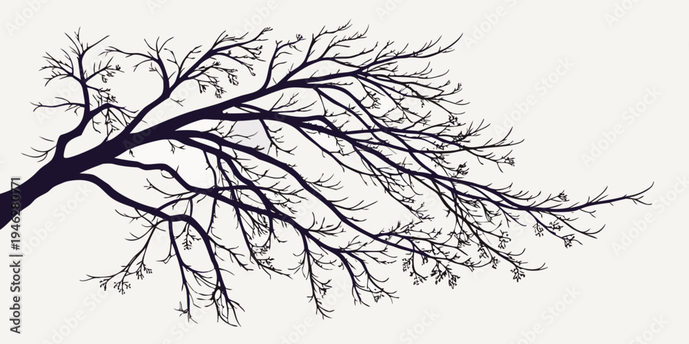 Fototapeta premium tree silhouette isolated on white