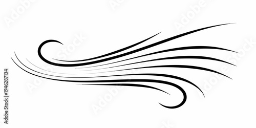 Abstract black swirls and curves create a dynamic flowing design