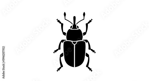 Black Beetle Silhouette Isolated on White.