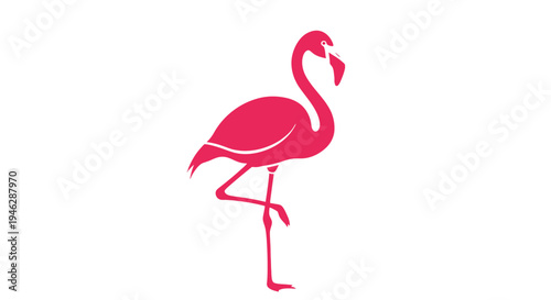 Pink Flamingo Standing on One Leg.