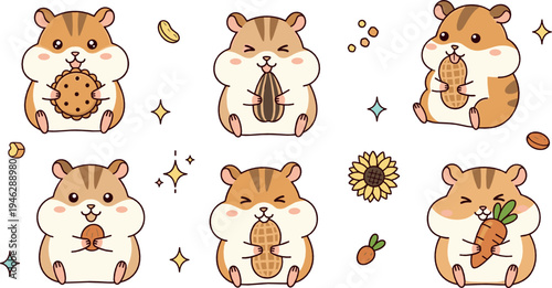 Cute cartoon hamster characters eating snacks like cookie peanut sunflower seed and carrot adorable kawaii animal vector illustration set