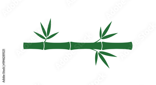 Bamboo Stalk with Leaves Illustration.
