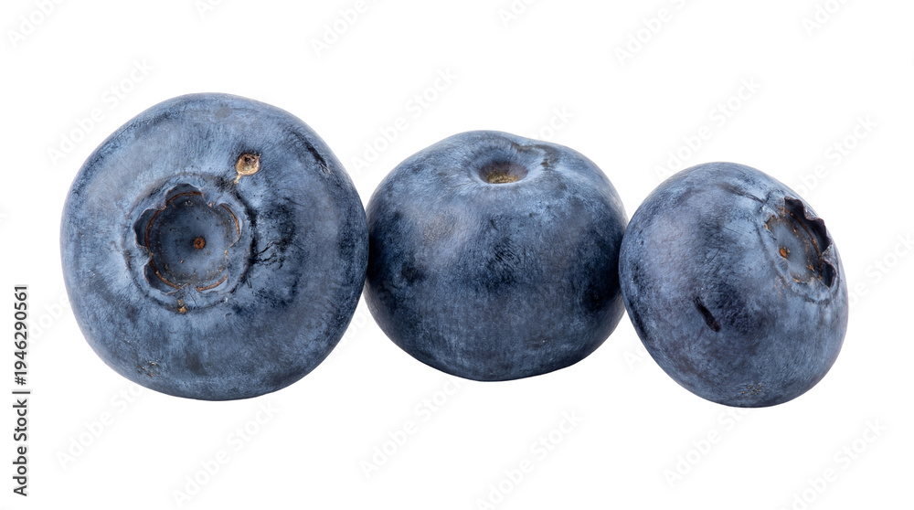 Fototapeta premium Delicious fresh blueberries, three ripe and juicy berries isolated on a transparent background, perfect for healthy.