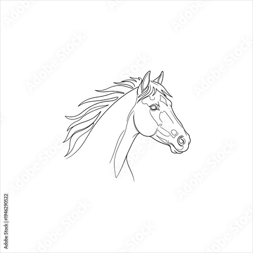 A drawing of a horse's head