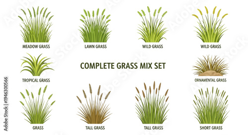 Complete Grass Mix Set Collection Featuring Various Green and Brown Bush Types Like Meadow, Lawn, Wild, Tropical, Ornamental, Tall, and Short Grass Vector Icons