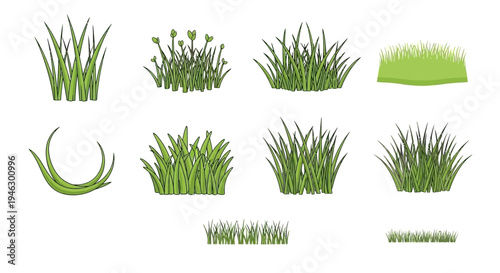 Set of green grass clumps and tufts vector illustration for garden and landscape design projects. Collection of grass patches isolated on white background.