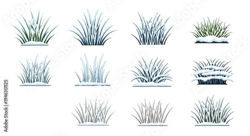 Vector set of various winter grass tufts and frozen bushes covered in thick white snow, isolated on a plain background for seasonal holiday graphic design.