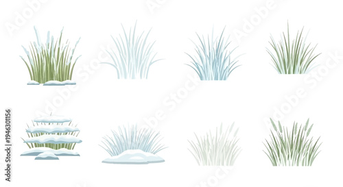 Vector Illustration Set of Winter Grass Tufts with Snow Caps and Frost. Collection of Green and White Grass Bushes for Seasonal Landscape Design Elements