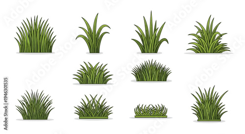 Various green grass tufts and clumps vector illustration set isolated on a white background, ideal for garden, nature, landscaping, and outdoor design themes.