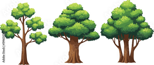 Set of three stylized green deciduous vector trees with lush foliage and brown trunks in various shapes isolated on white background for nature design