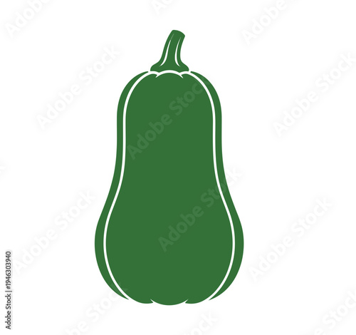 Green Acorn Squash Vegetable Illustration.
