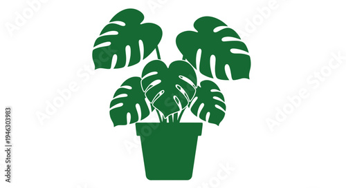 Potted Monstera Deliciosa Plant Illustration.