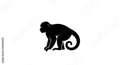 Black Silhouette of a Monkey.