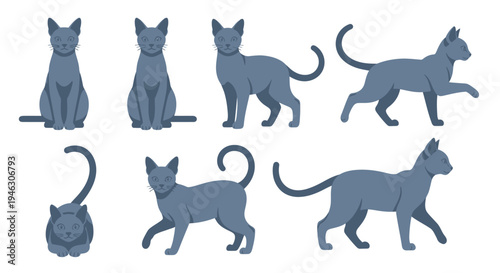 Russian Blue cat vector illustration set featuring seven different poses including sitting, walking, standing, and crouching isolated on a white background art.
