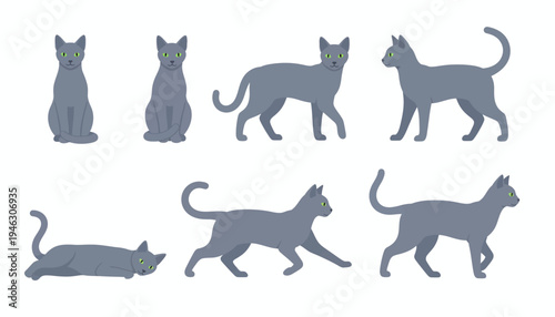 Set of Russian Blue Cat Vector Illustrations Featuring Grey Felines in Various Poses such as Sitting Walking and Lying Down Isolated on a Plain White Background.