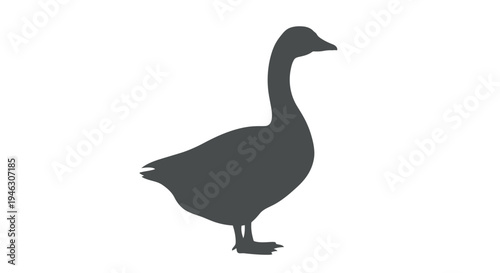 Black Silhouette of a Duck Standing.