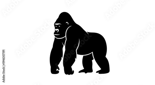 Silhouette of a Standing Gorilla.