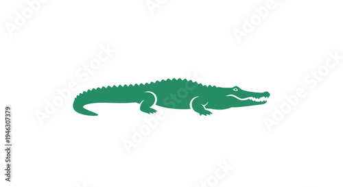 Green Alligator or Crocodile Illustration Side View.