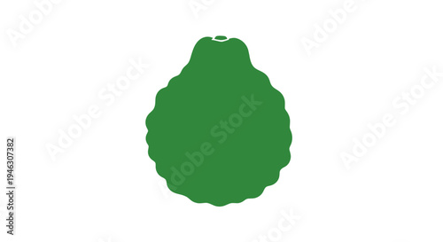 Green Avocado Fruit Isolated on White.