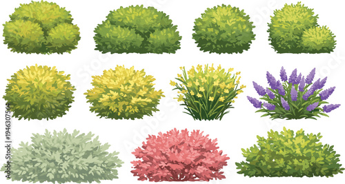 Bush and shrub illustration set, cartoon garden plants, colorful foliage icons, landscaping clipart pack, nature design elements, vector hedge graphics, outdoor assets