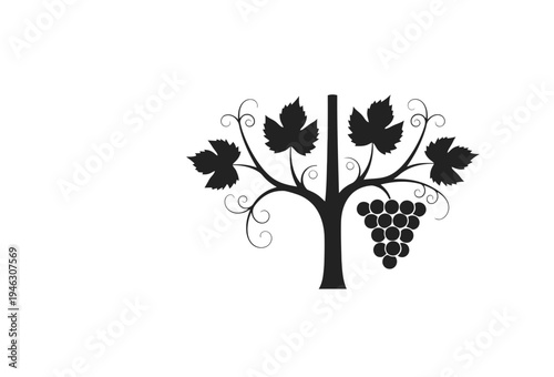 Vine with Grapes and Leaves Silhouette.