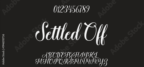 signature Font Calligraphy Logotype Script Brush Font Type Font lettering handwritten
