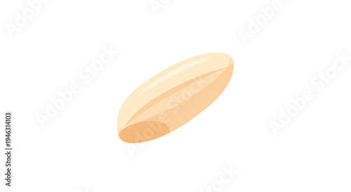 Rice Grain Image, Vector Illustration, Food and Agriculture Concept, Healthy Eating