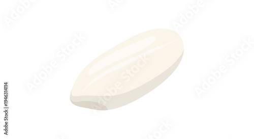 Rice Grain Image, Vector Illustration, Food Concept, Healthy Eating, Nutrition, Isolated on White