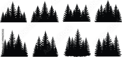 Evergreen Pine Tree Forest Silhouette Set Isolated on White Background, Conifer Woodland Nature Collection for Landscape and Outdoor Design