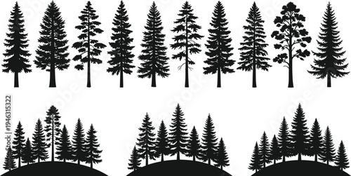 Evergreen Pine Tree Forest Silhouette Set with Conifer Woodland Landscape Hills Isolated on White Background for Nature Design