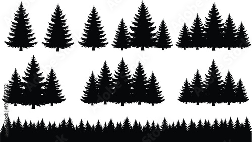 Evergreen pine tree forest silhouettes collection, conifer woodland landscape borders and tree groups isolated for nature design projects