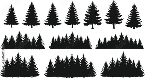 Pine Tree and Evergreen Forest Silhouette Set Isolated on White Background, Conifer Woodland Collection for Nature Landscape Design
