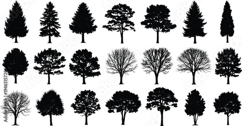 Set of diverse tree silhouettes including evergreen, deciduous and bare trees, botanical forest elements isolated for landscape and nature design