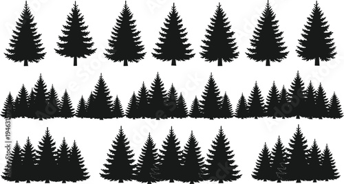 Set of Pine Tree Silhouettes and Forest Groups Isolated on White Background, Evergreen Conifer Trees Collection for Nature Landscape Design
