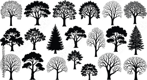 Collection of deciduous and evergreen tree silhouettes isolated on white background, detailed forest tree set for landscape design