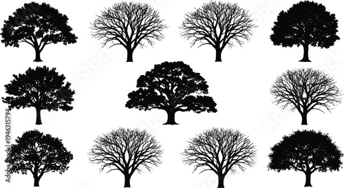 Collection of detailed deciduous tree silhouettes including leafy and bare branches isolated for botanical nature landscape design